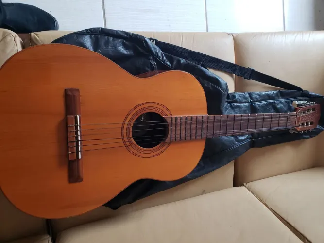 Violão  D'giórgio madeira . Vai com a capa.  