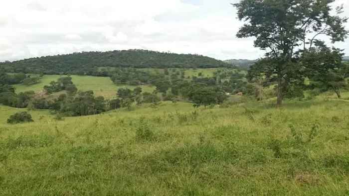 Fazenda na Região de Para de Minas/Florestal  70 Hect. Formada, Estrutura Pecuária.