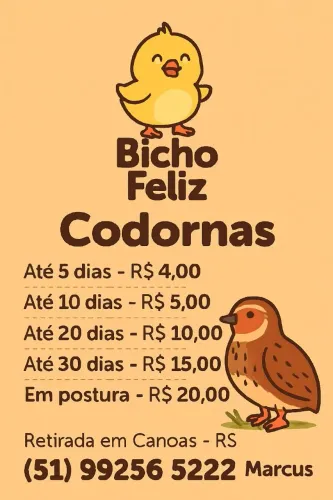 Bicho Feliz - codorna gigante 