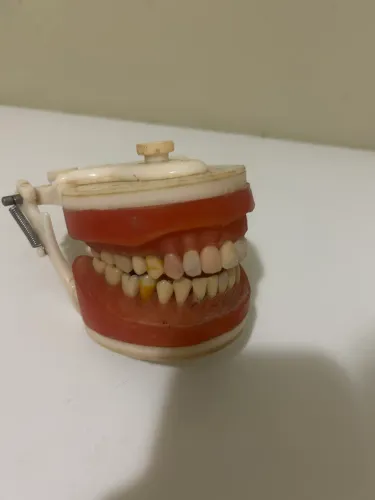 Manequim Odontológico