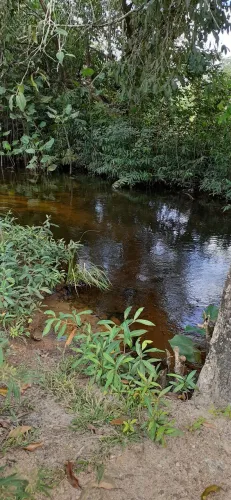 Venda de sitio de 2 hectares.