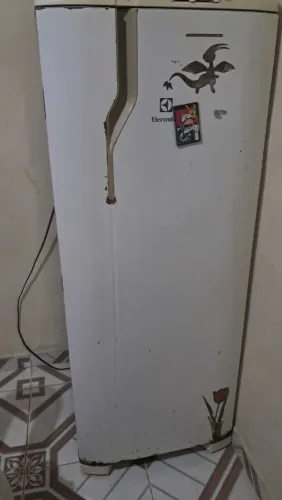 Geladeira, funciona tudo, gela muito!
