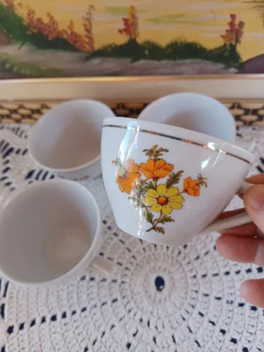 Xícaras de chá porcelana pozzani