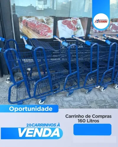 20 CARRINHOS DE COMPRAS 160L