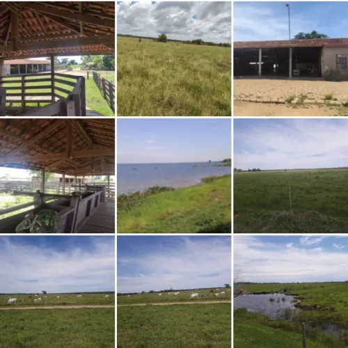 Fazenda de 300 alqueires na pecuária, dupla aptidão 10 kms de margens do Rio Paranazão, na