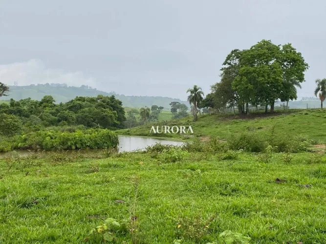 Fazenda à venda, 178,4 ALQUEIRES por R$ 30.000.000 - Três Bicos - Candido de Abreu/PR