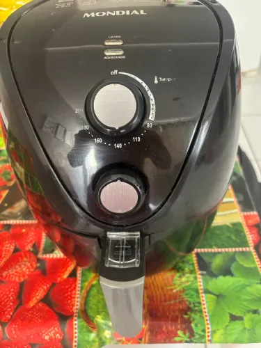 VENDO FRITADEIRA ELÉTRICA USADA.