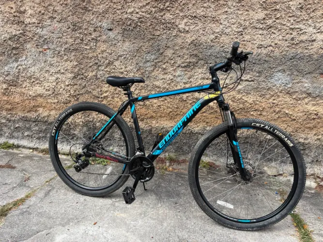 Bicicleta Endorphine Aro 29 21 Marchas