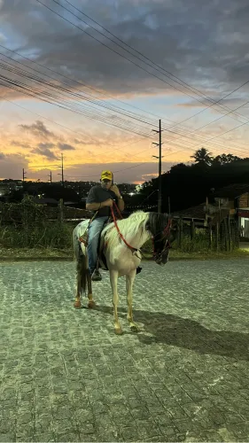 Cavalo