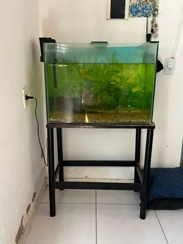 Aquario