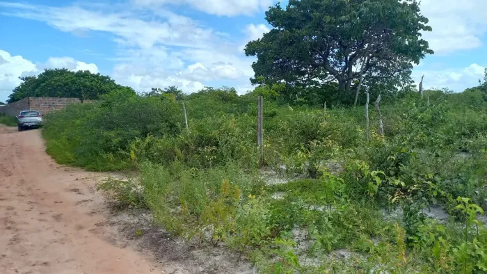 Pium 1.000M2 Próximo a Lagoa Azul