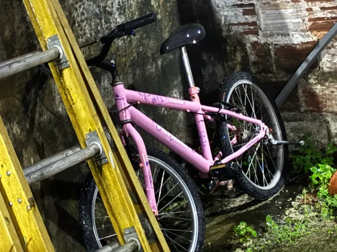 Bicicleta infantil menina