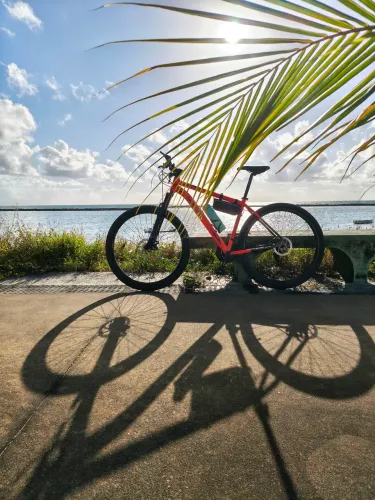 Bike aro 29