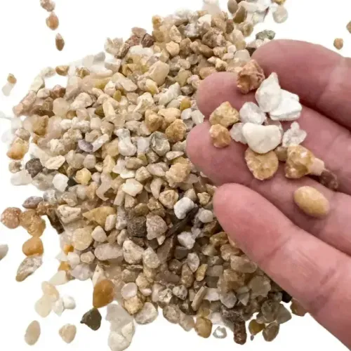 Semente e grãos para jardim