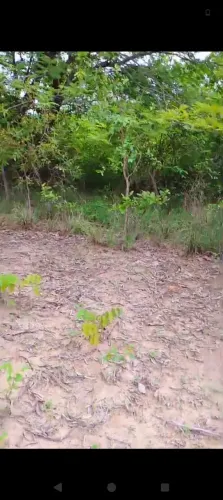 1008.00 hectares na cidade de coivaras Piauí