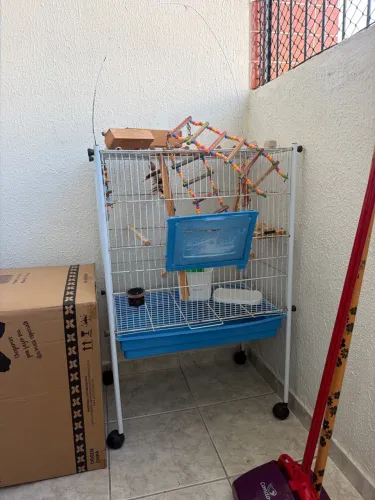 Gaiola para passarinho