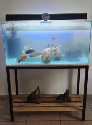 Aquário 200 Litros 