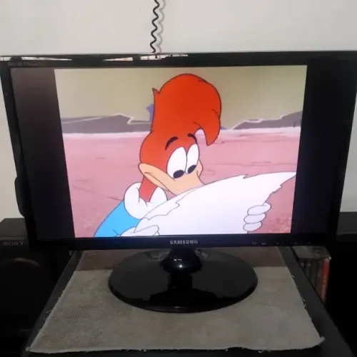 Monitor TV 22' Samsung wide T22C310 funcionando ok