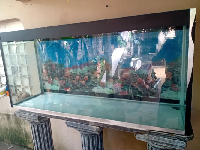 Vende se esse aquário