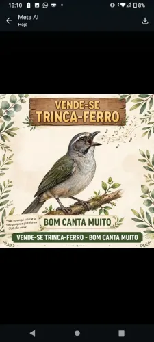 Vende-se tranca ferro