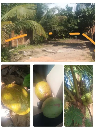 Terreno em Iranduba 