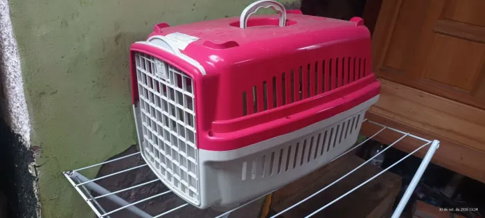 Caixa Rosa pet número 3