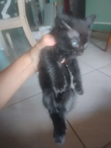 Com 2 meses