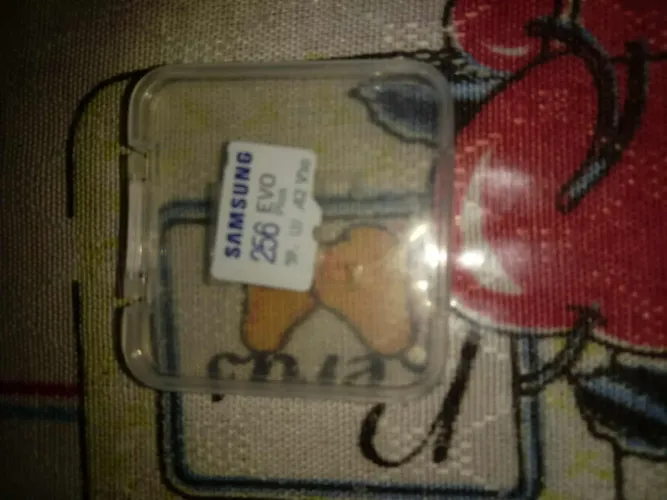 Micro SD 256 Samsung