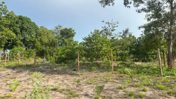 Terreno no Pindobal
