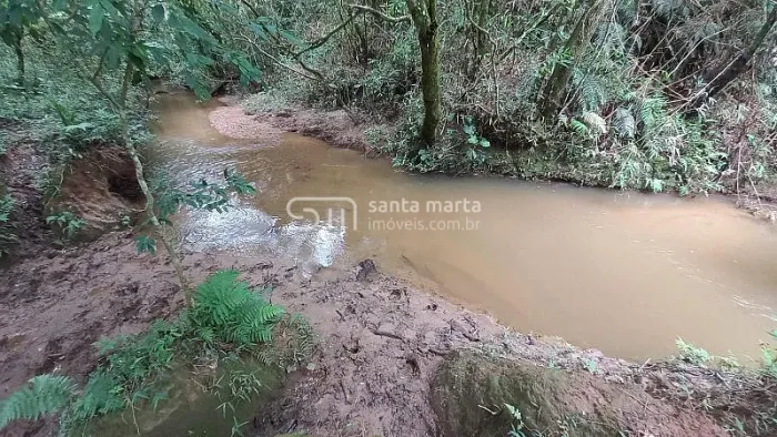 SITIO SERRA DA BOCAINA - LEITE/CORTE/FRUTICULTURA ? SILVEIRA