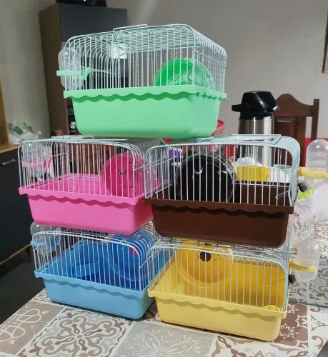 Gaiolas