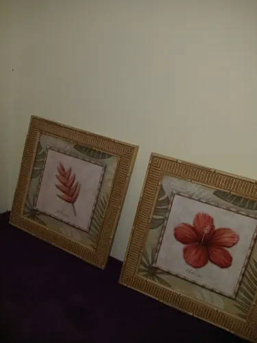 Quadros