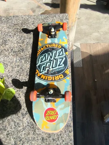 SKATE santa cruz