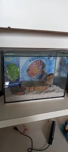 Aquários para peixes Bettas 