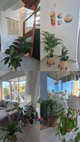 Vaso de Plantas - Tamanho Grande