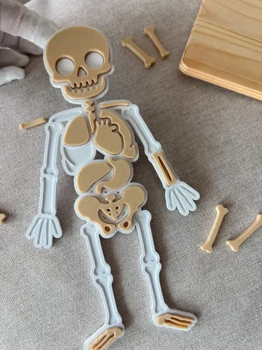 QUEBRA-CABEÇA DO CORPO HUMANO EDUCATIVO 3D | APRENDIZADO DE ANATOMIA