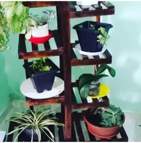 Jardim