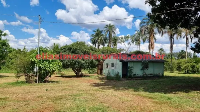 Área 25,41 hectares - Apenas 2 km rodovia - Monte Alegre de Minas