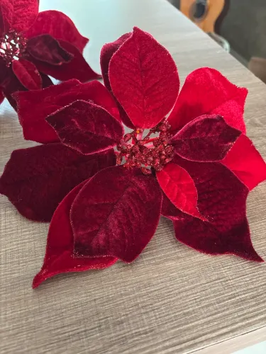 Flores natalinas vermelhas lindas!!!!