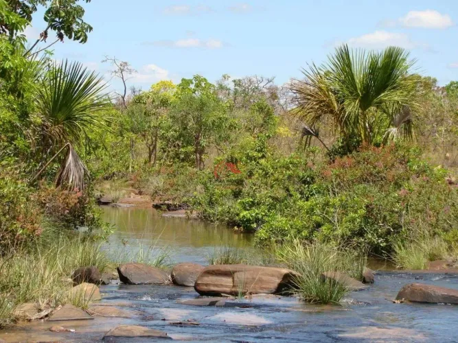 FAZENDA À VENDA EM BRASILÂNDIA DE MINAS - MG - SENTIDO SANTA FÉ NA MG190