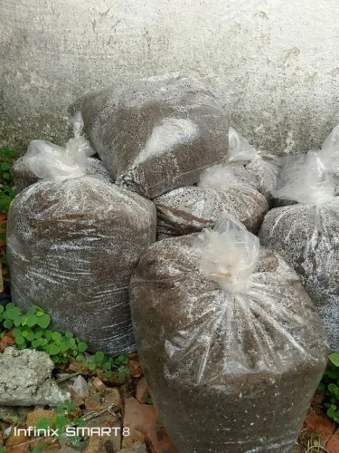 Terra Adubada para Plantas - 4kg