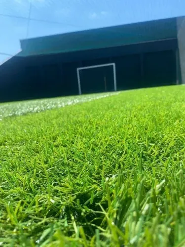 Grama Sintética Usada