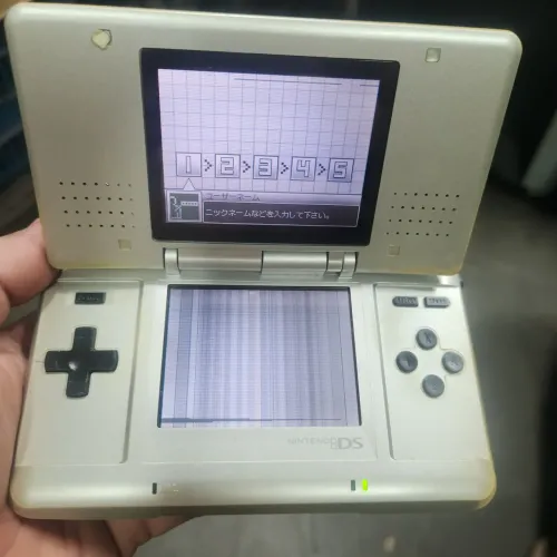 Nintendo DS FAT