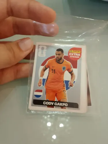 Cody gakpo prata