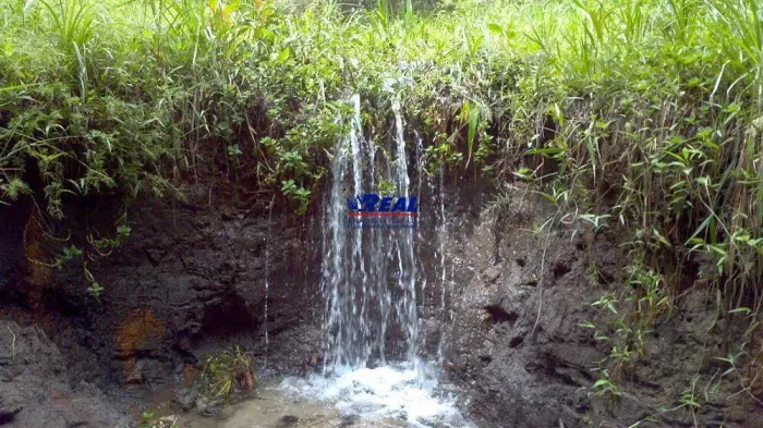 Fazenda á venda em Bonfim por R$ 1.800.000,00!