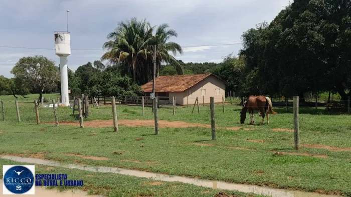 Fazenda à Venda em Araguaçu TO | 115 Alqueires Formados + Reserva