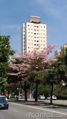 Apartamento, Santo Amaro, 1 Quarto