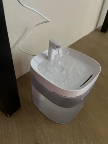 Bebedouro Fonte de Água com filtro para Pet