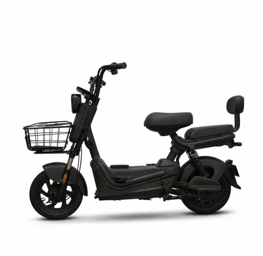 MOTO ELETRICA TAILG 500WTS