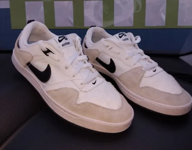 tênis nike sb alleyoop branco
